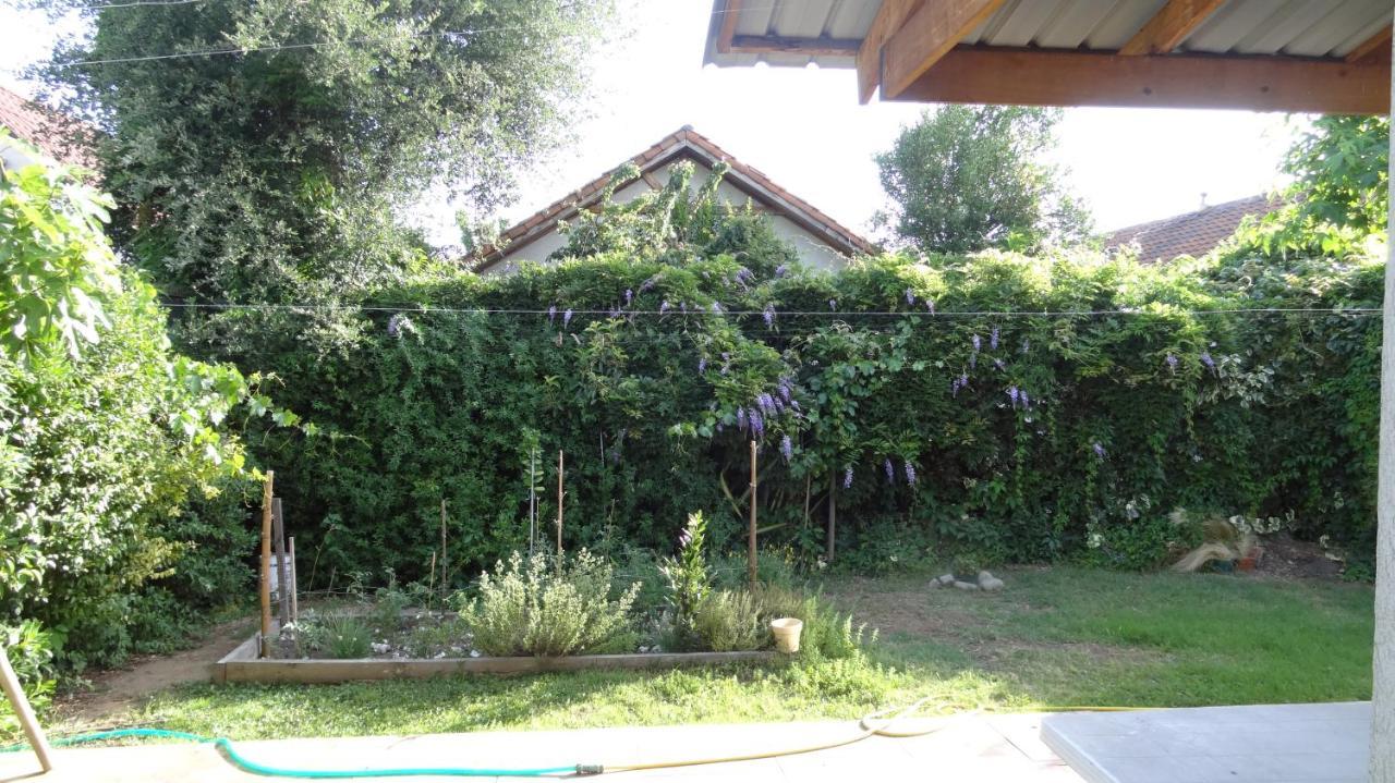 Tralka B&B Talca (Maule) Exterior foto